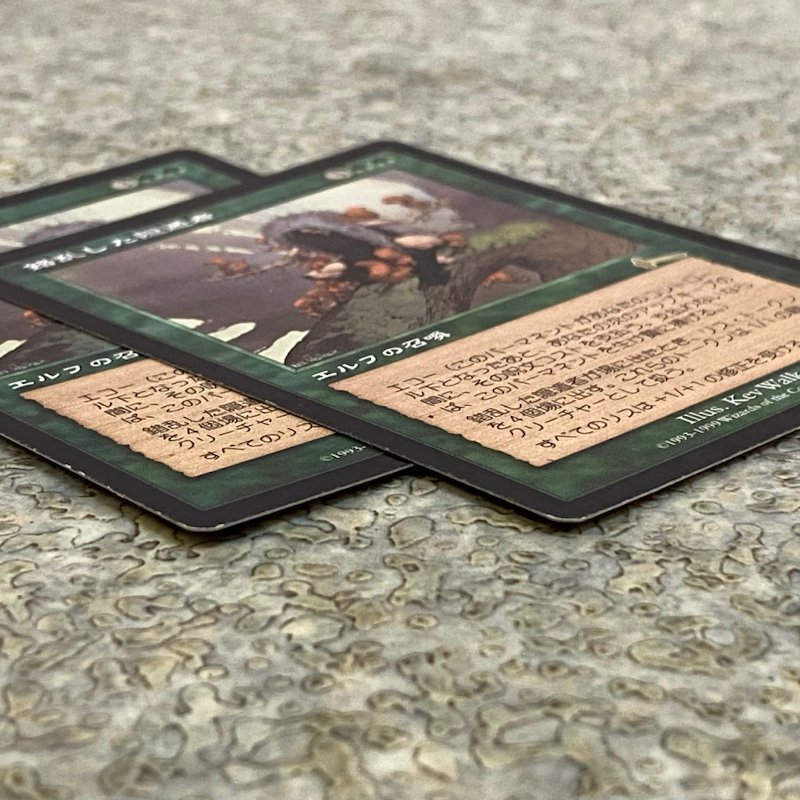 MTG ULG 日本語版 錯乱した隠遁者 Deranged Hermit 2枚セット レア
