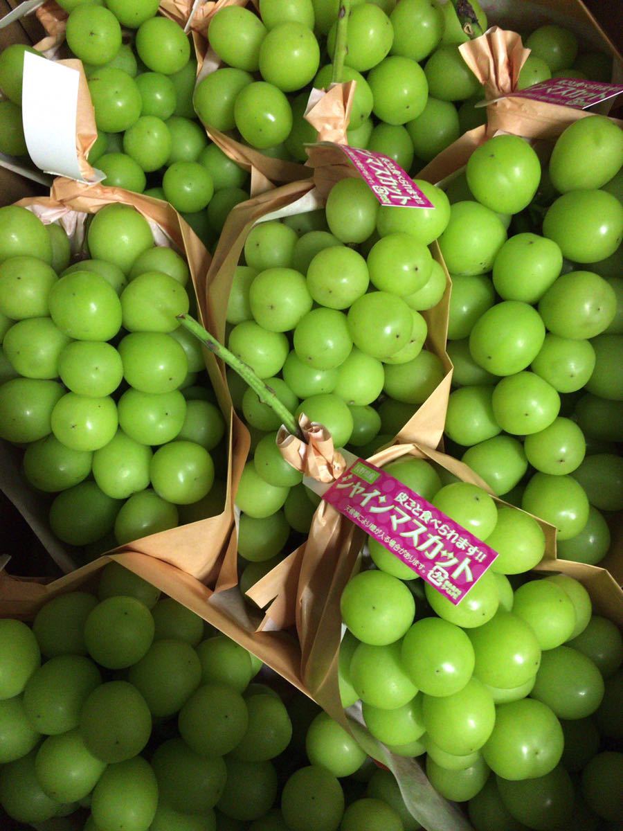 大房シャインマスカット 7房入り長野県産