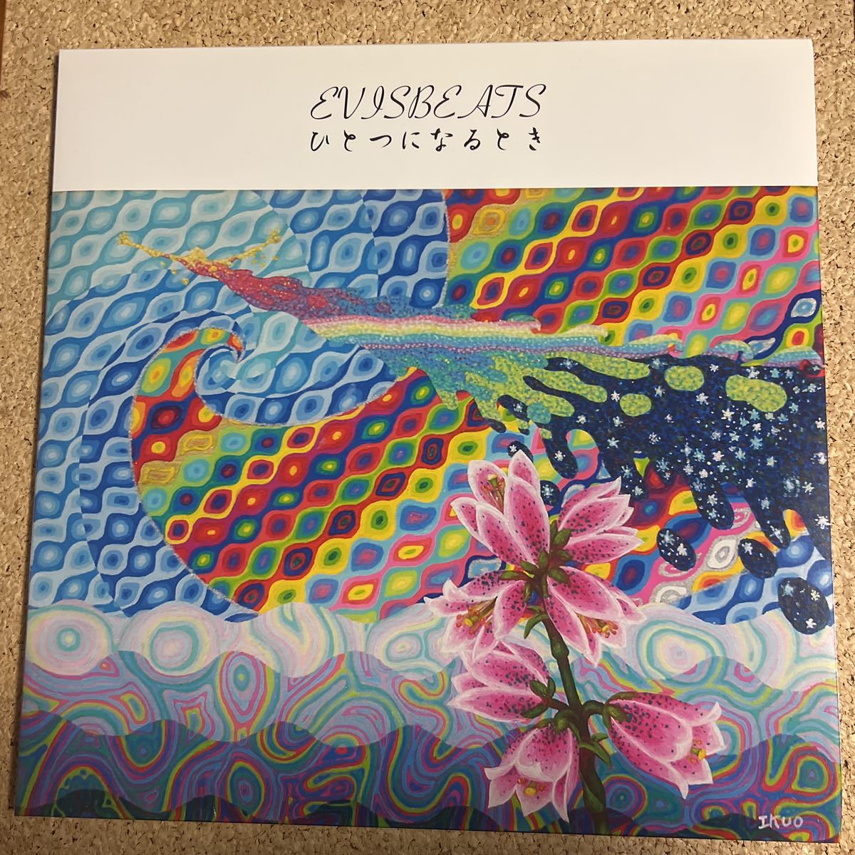 未使用品 / EVISBEATS エビスビーツ / ひとつになるとき / 2LP 