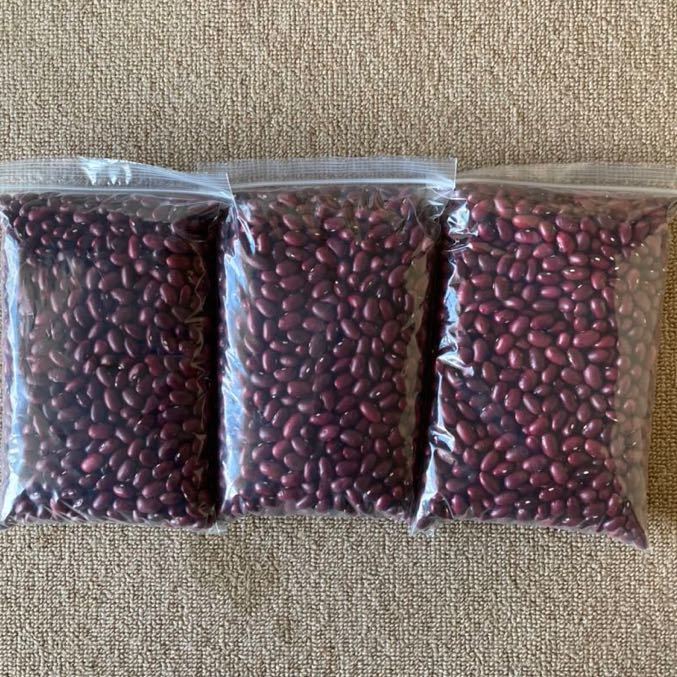 十勝イマファーム金時豆3kg 令和4年産　北海道十勝産　レターパックプラス発送