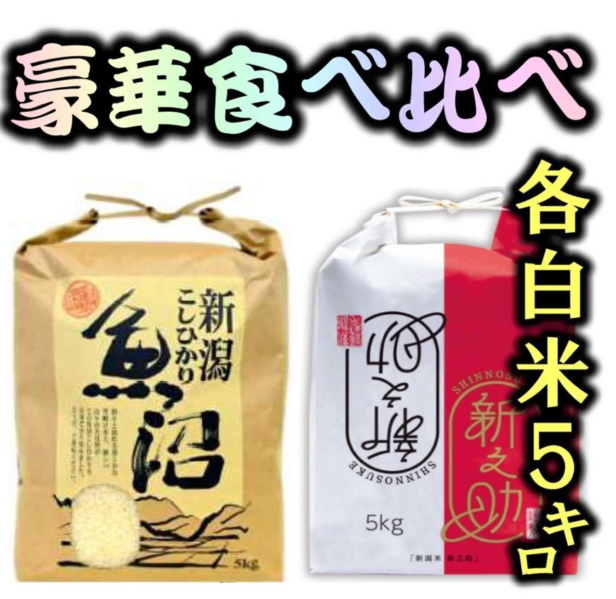 食べ比べ　「極み」令和5年産新潟新之助　魚沼産コシヒカリ　白米5kg各1個25