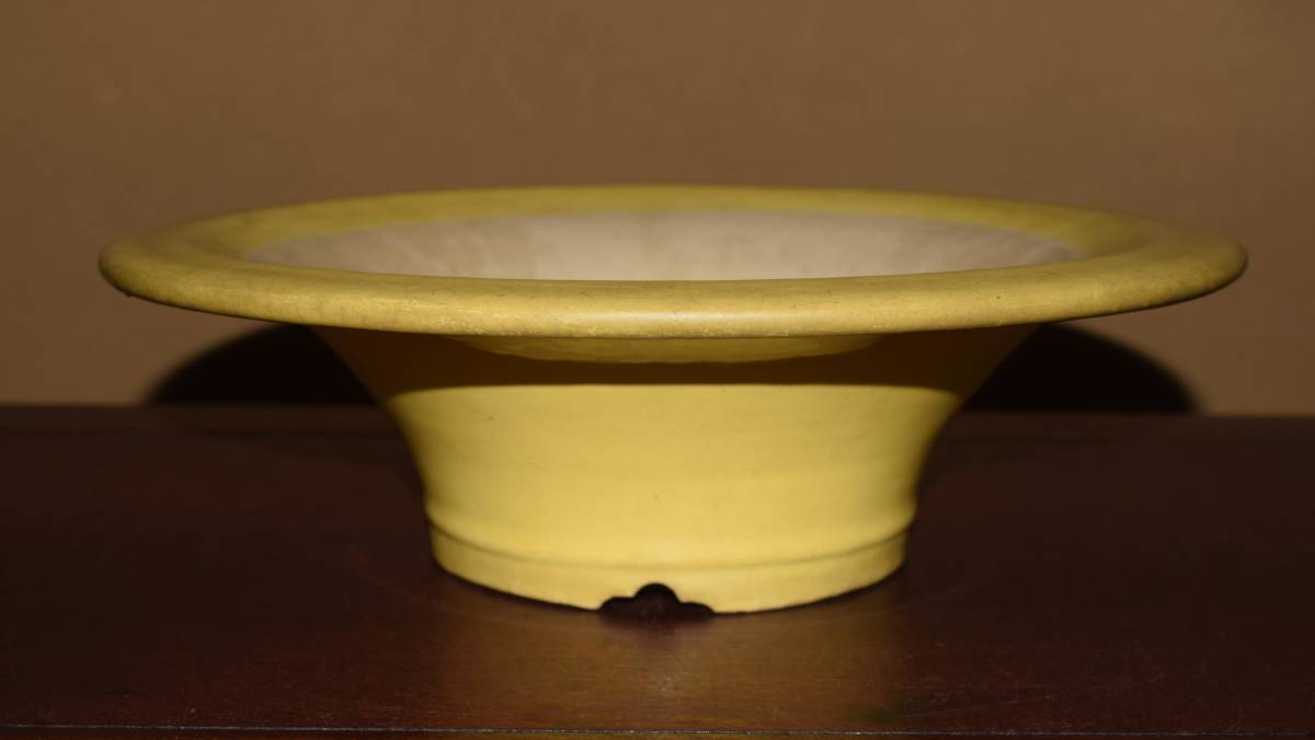 青絵正方鉢 作家鉢 小品盆栽 植木鉢 初期作 展示会 中国 山水図 6.4cm