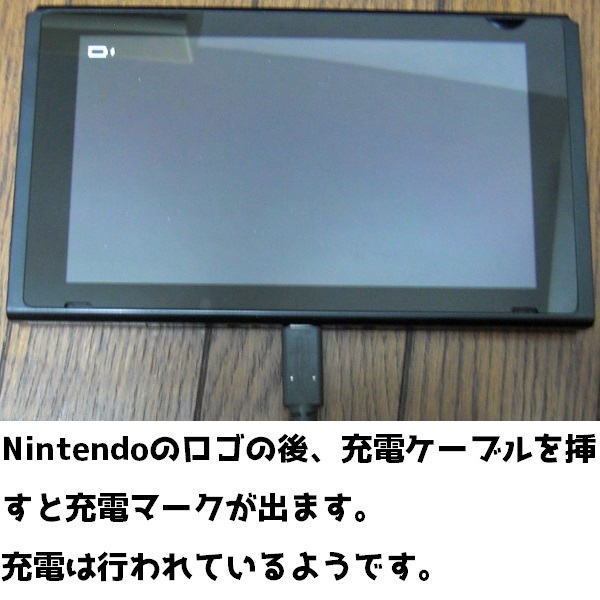 Nintendo Switch 本体のみ 未対策機 ジャンク（電源オンでロゴが出ます