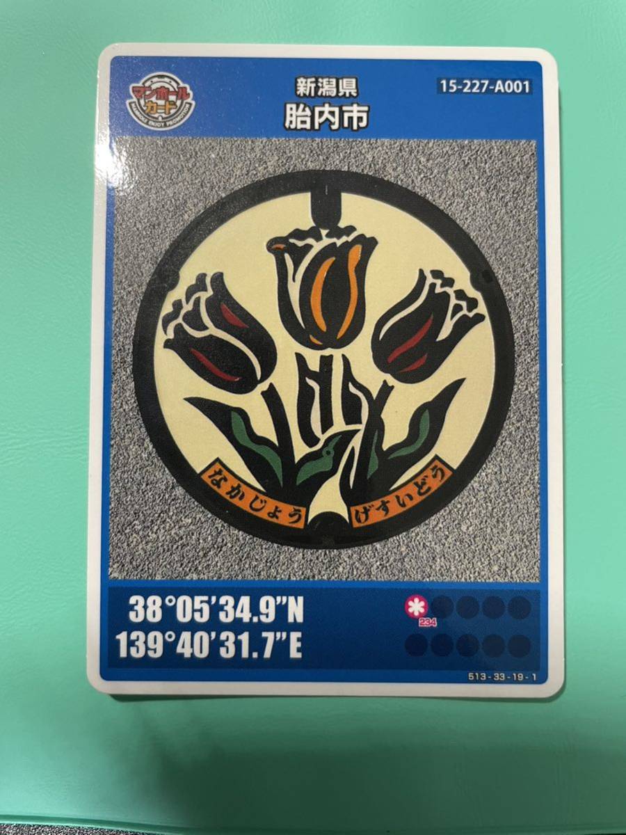 マンホールカード 新潟県　胎内市　レアカード