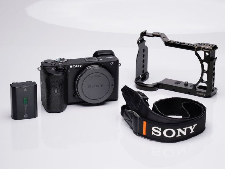 SONY α6600 a6600 smallrig ケージ付き ソニー ILCE-6600
