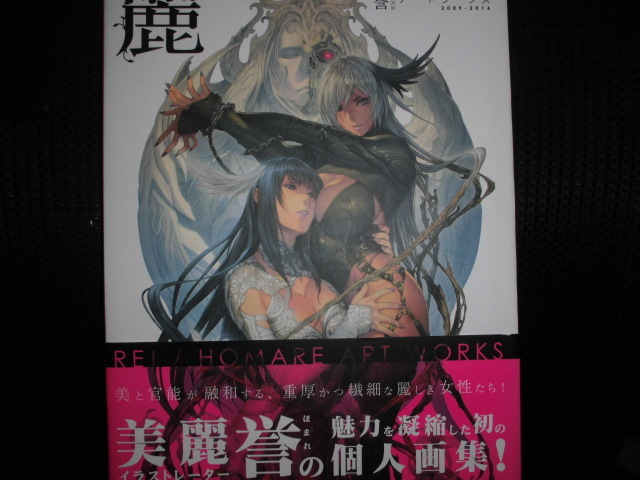 麗 REI HOMARE ART WORKS アートブック 漫画 麗 REI HOMARE ART WORKS アートブック