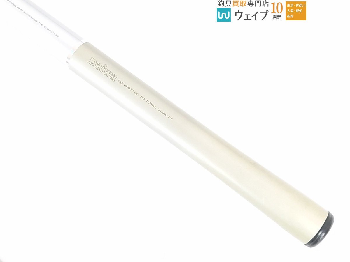 ダイワ VS 銀影 競技 T 中硬硬 100SR