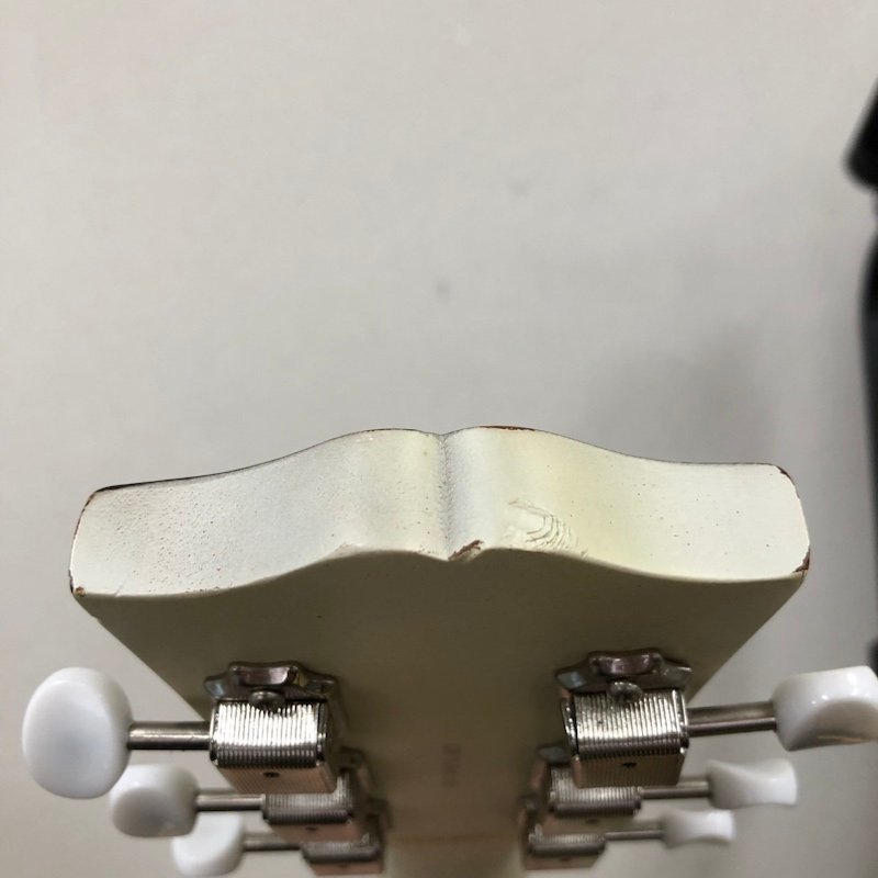 Grass Roots レスポールタイプ エレキギター 231124SK390001 エレキ