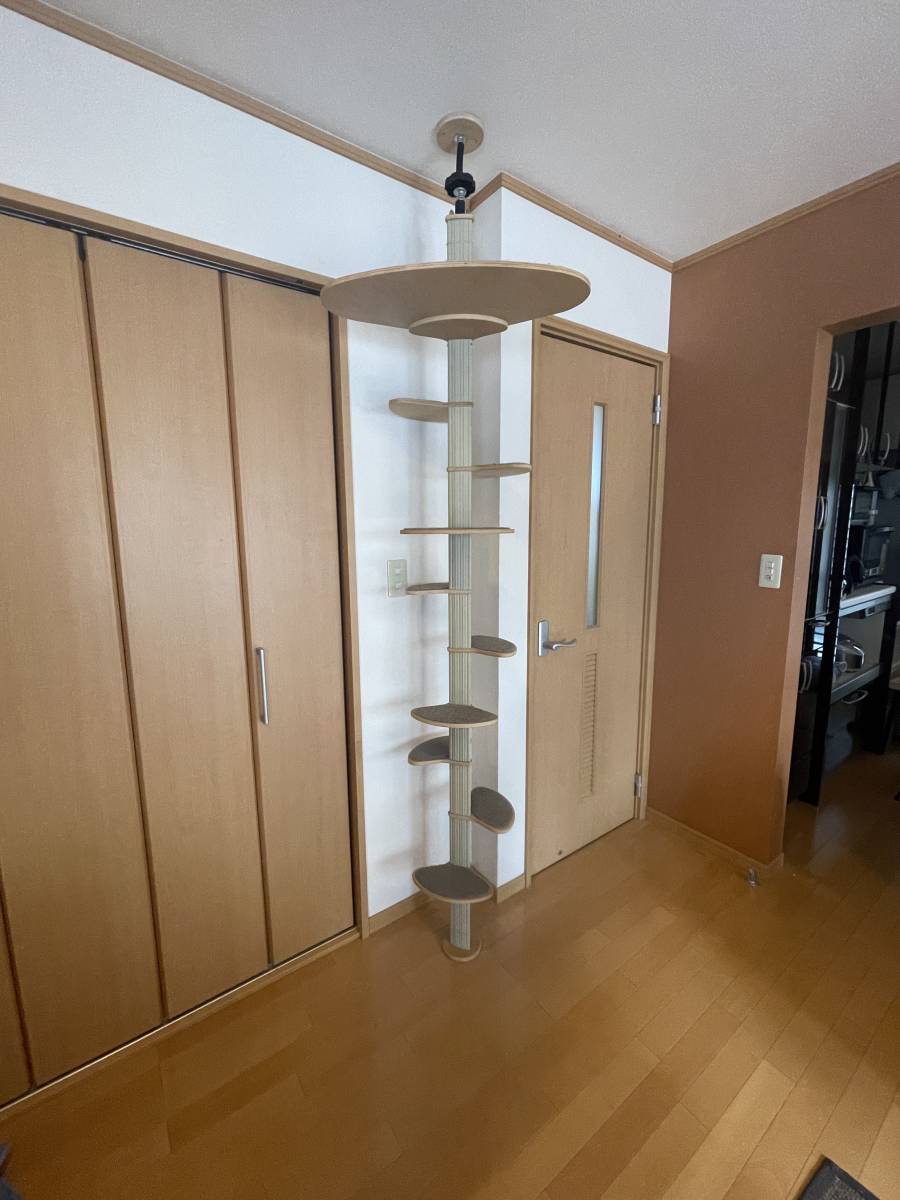 キャットタワー