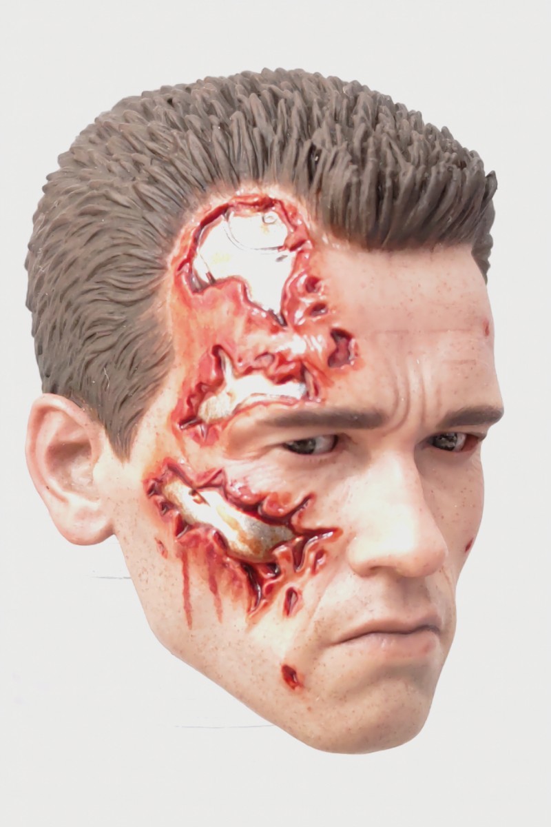 ホットトイズ 1/6 『ターミネーター2』 T-800/バトルダメージ版/DX13 【ダメージヘッド/A/眼球可動システムPERSあり】 HOTTOYS BD 検:サラ