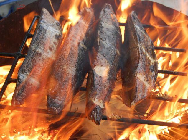 本場高知からかつおの藁焼きタタキ3kg 冷凍　カツオタタキ_2