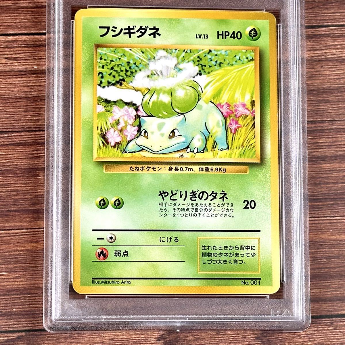 旧裏 初版 ポケモンカード フシギダネ マークなし No.001 PSA81996