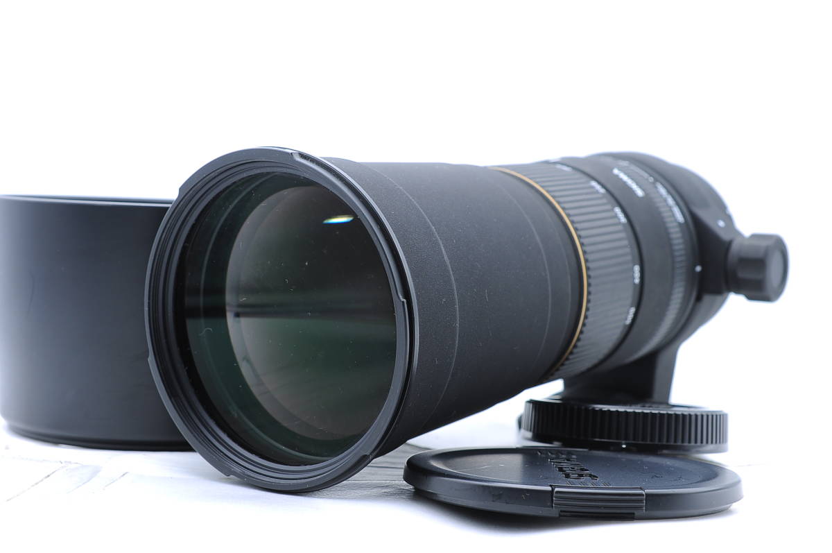 170-500mm APO SIGMA シグマ DG F5-6.3 | : 望遠レンズ AF内蔵 シグマ 