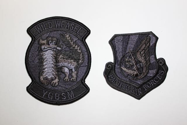 ▽ Anthony's アントニーズ商会 PACIFIC AIR FORCES/WILD WEASEL YGBSM