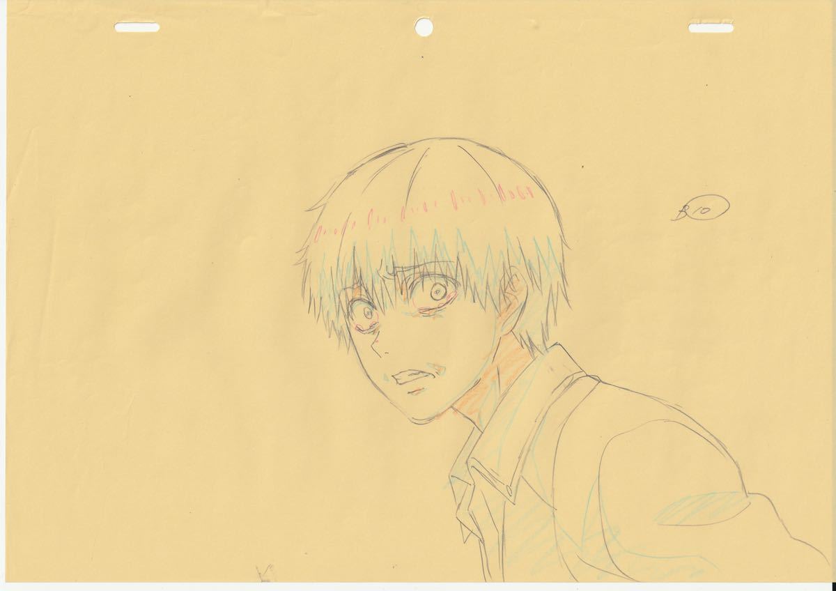 東京喰種 トーキョーグール Tokyo Ghoul 金木研 原画14枚セット(た行 