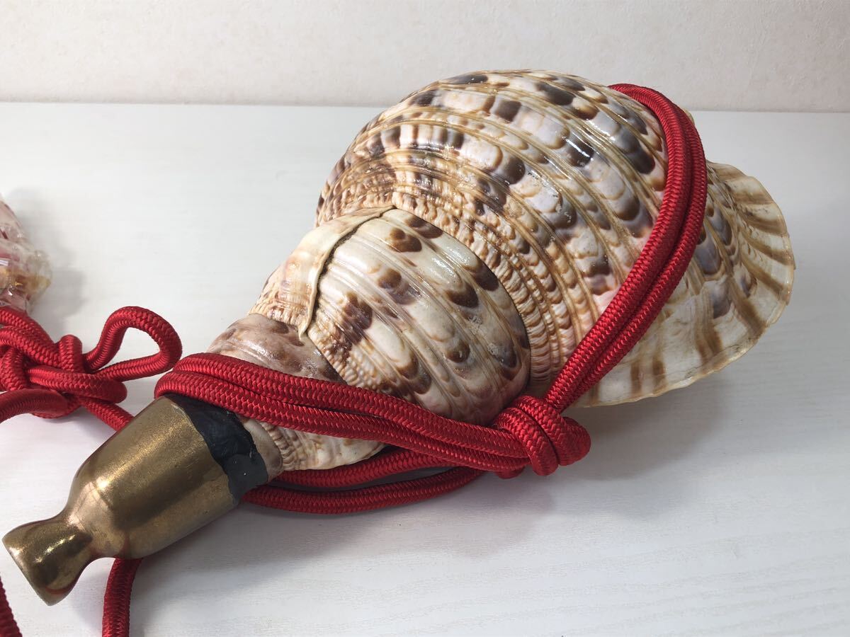 ほら貝 35cm 山伏道具 和楽器 法螺貝 (和楽器)｜売買された