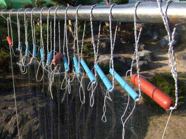 ６ 分 ５ ｍ 鮎用 刺し網　新品　高さ１００ｃｍ プロ仕様