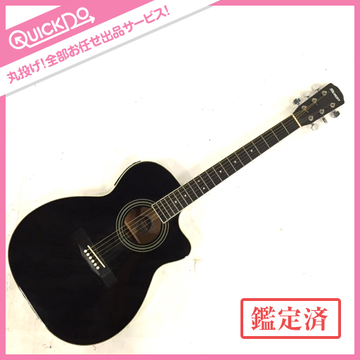 モーリスギター MD-501 きれいなものです Morris