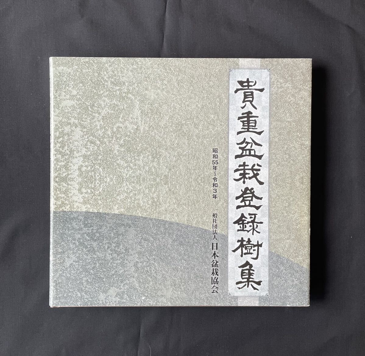 貴重盆栽登録樹集 日本盆栽協会 五葉松黒松真柏(盆栽)｜売買された