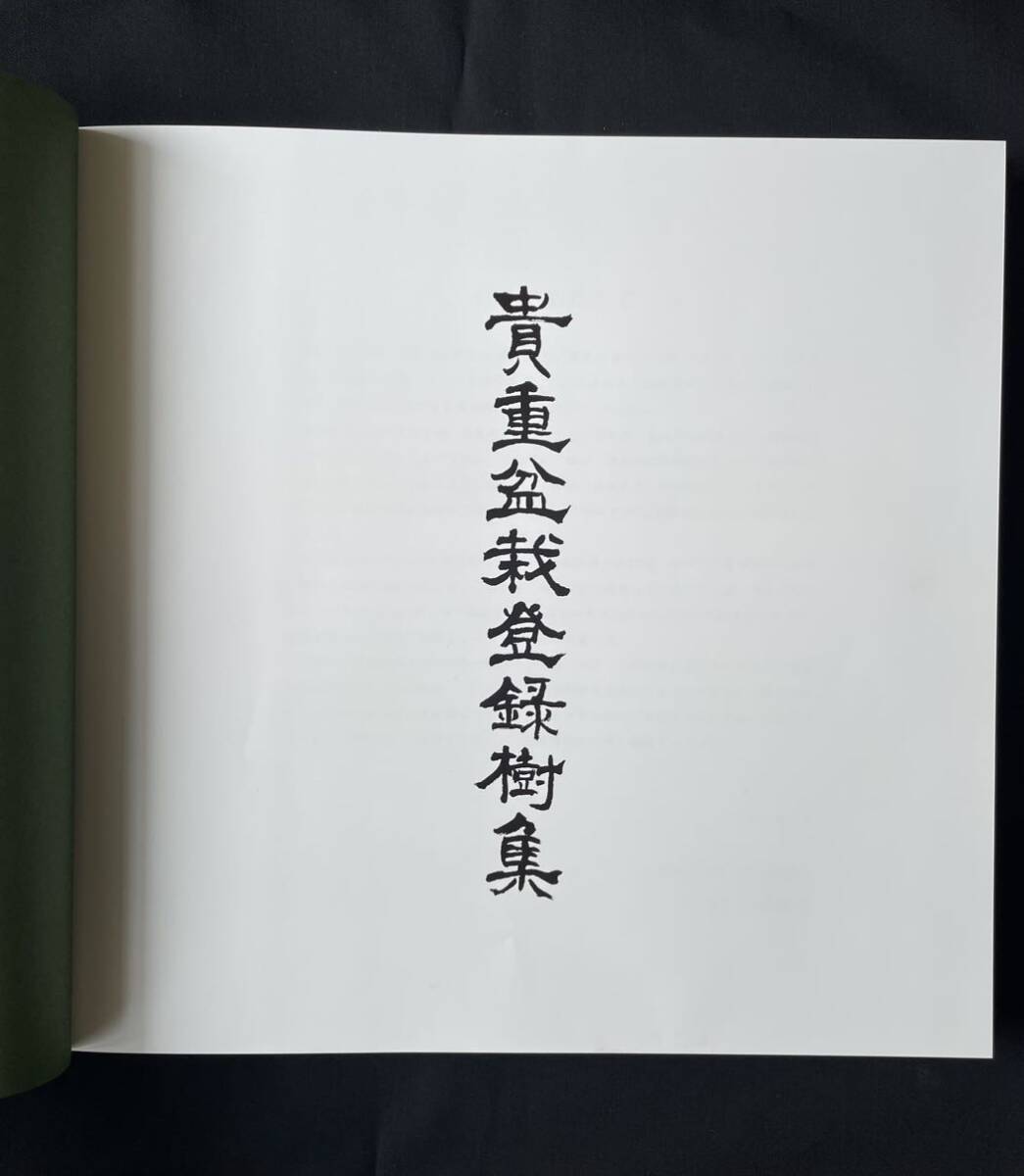 貴重盆栽登録樹集 日本盆栽協会 五葉松黒松真柏(盆栽)｜売買された