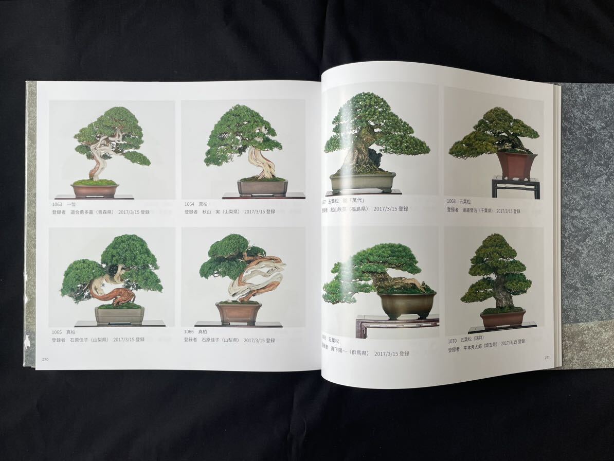 貴重盆栽登録樹集 日本盆栽協会 五葉松黒松真柏(盆栽)｜売買された