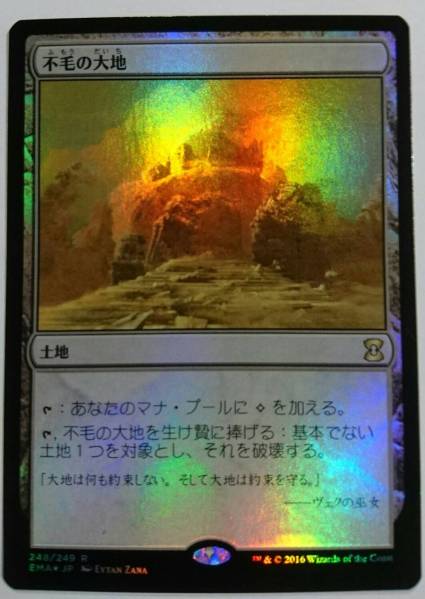MTG Wasteland 不毛の大地　2枚セット EMA ◇MTG EMA 不毛の大地/Wasteland 日本語 Foil◇ MTG 不毛の大地