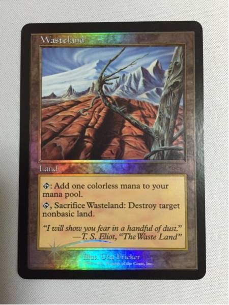 まな1剤9本2剤1本よろしくお願いします。 MTG 不毛の大地 foil トレーディングカードゲーム Magic: The