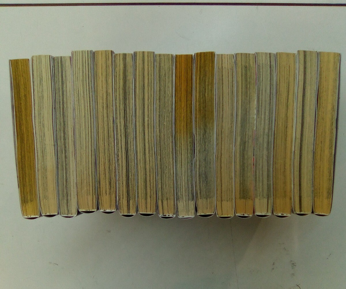 WORST 外伝 グリコ 1-10巻 ワースト外伝 ドクロ 1.2.4巻 クローズ外伝 鳳仙花 1-3巻 髙橋ヒロシ 16冊セット 秋田書店 ※同梱不可 K450_2