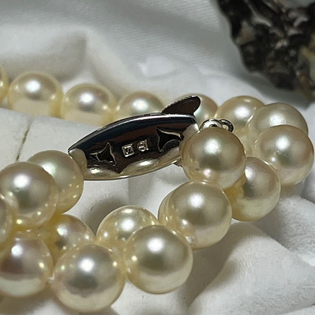 タサキ 田崎真珠 照り最強 7.0-7.5mm 40cm本真珠 パール ネックレス