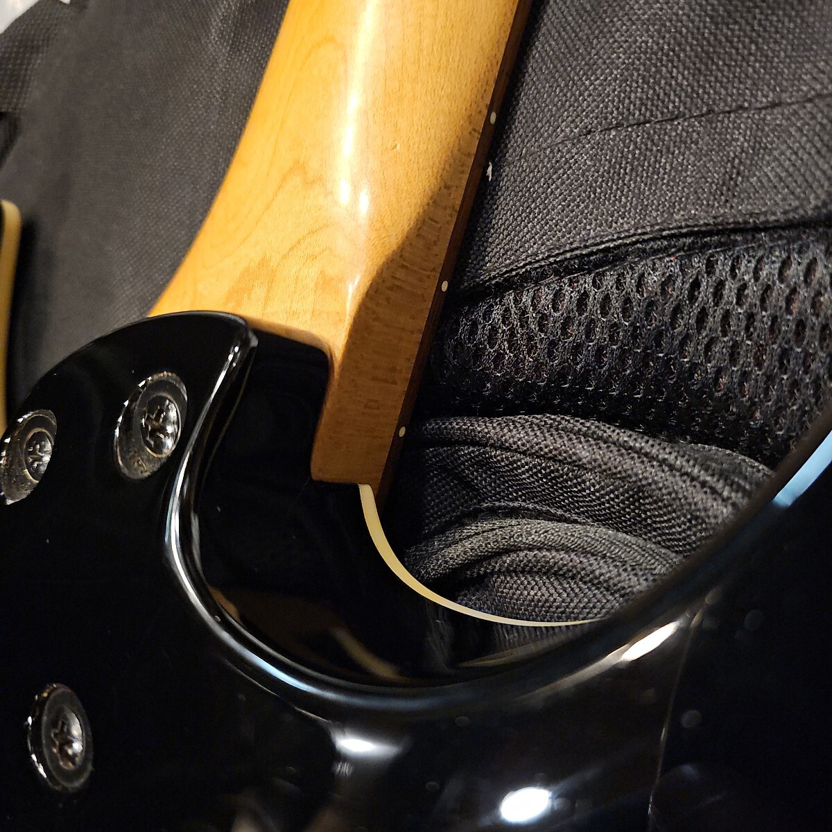 フェルナンデス　FERNANDES　 セイモアダンカンTB-6 エレキギター_6