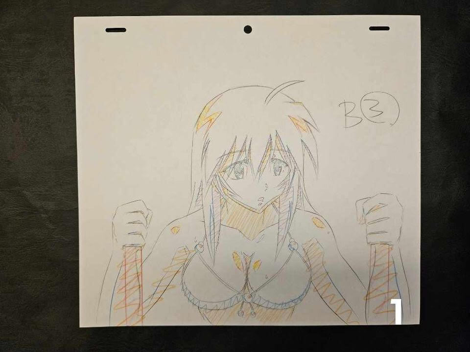 原画】一騎当千 33枚 修正原画 / セル画 / Genga 原画 【公式通販】
