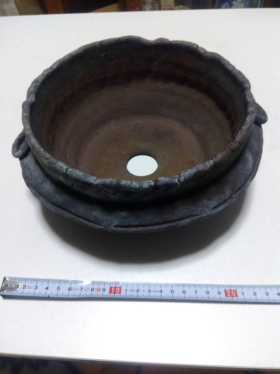 盆栽 鉢