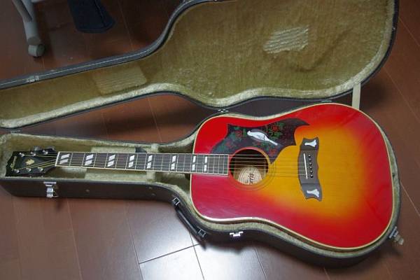 Morris WD-25 Dove 本体 ギター 【公式通販】
