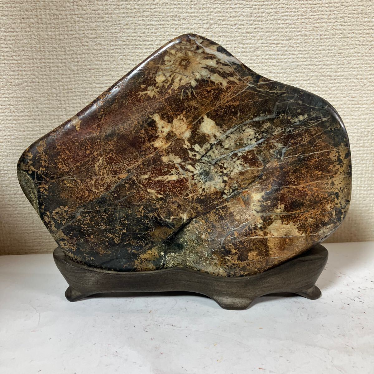 根尾谷産菊花石 鑑賞石 菊花石 【公式通販】