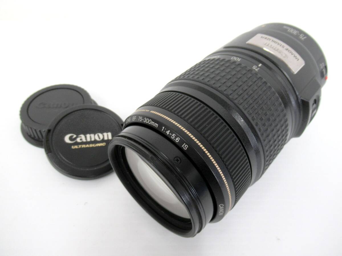 Canon/キヤノン】丑②39//CANON ZOOM LENS EF 75-300mm 1:4-5.6IS 
