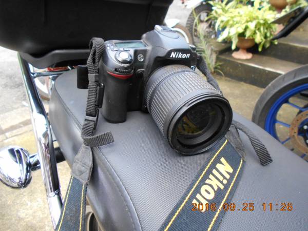 ニコン NIKON D1X 現状品 ニコン D1X その3 D1X ボディ オークション