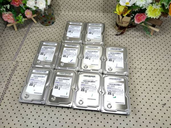 3.5インチ 250GB SAMSUNG HA250HJ 10個セット