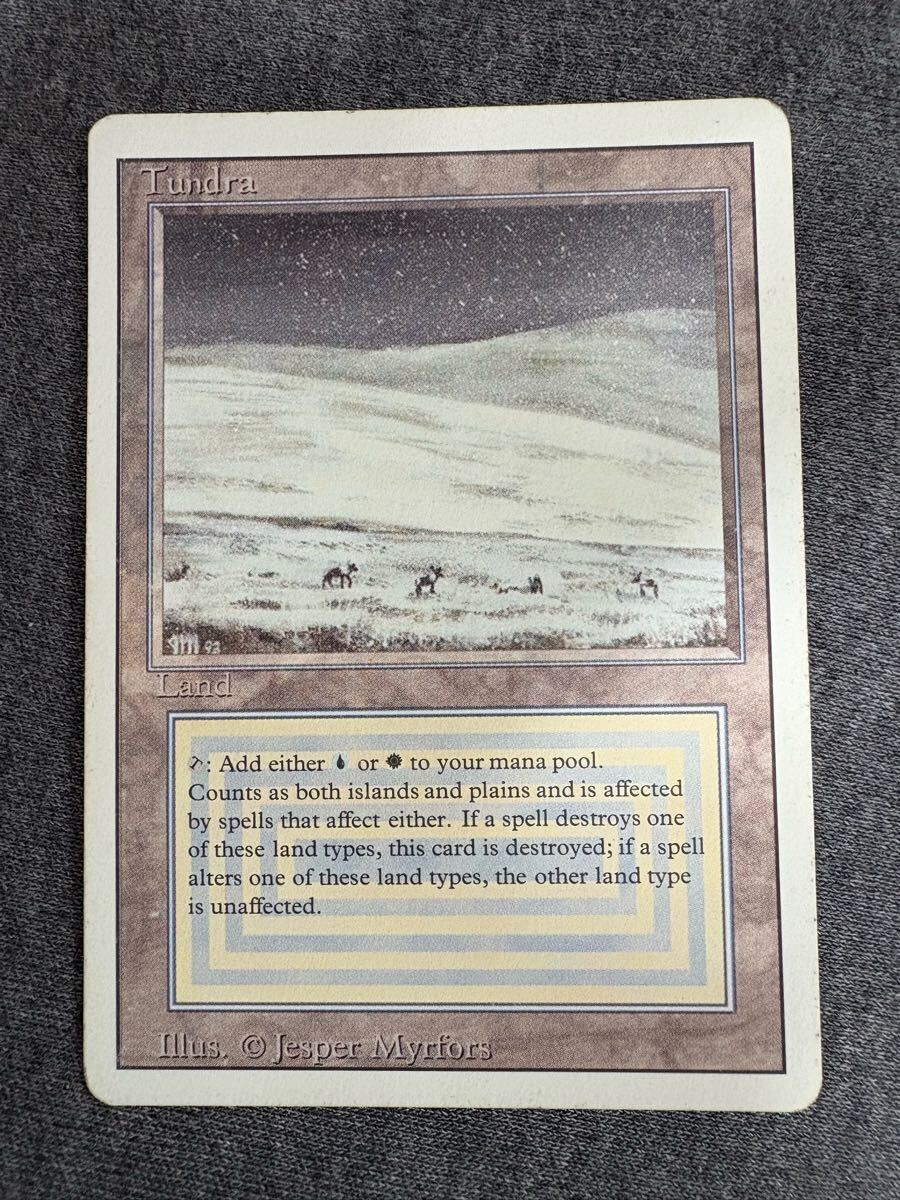 真贋鑑定 Tundra 3ED 英語 MTG リバイズド_1