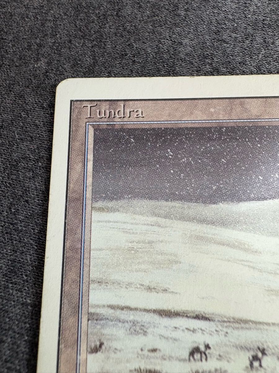 真贋鑑定 Tundra 3ED 英語 MTG リバイズド_2