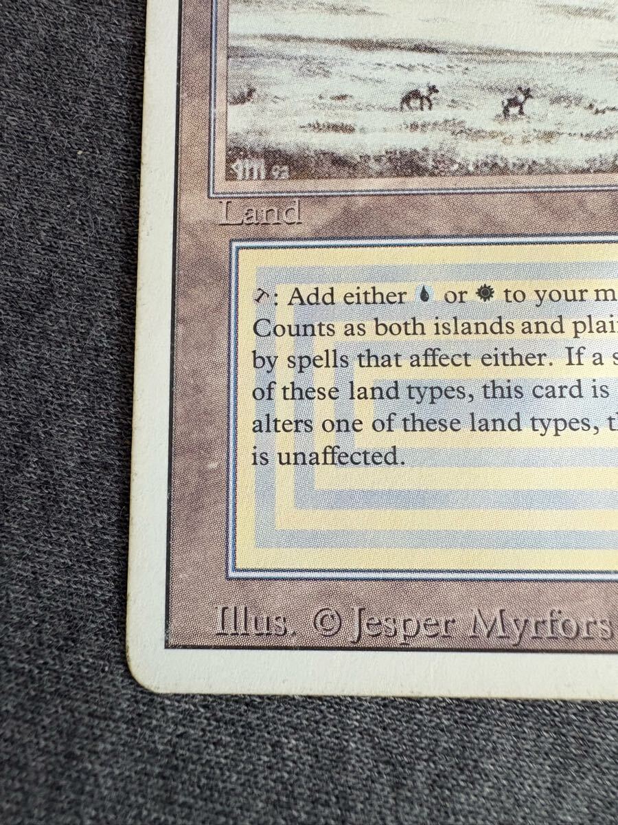 真贋鑑定 Tundra 3ED 英語 MTG リバイズド_4