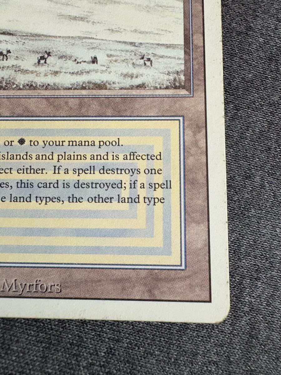 真贋鑑定 Tundra 3ED 英語 MTG リバイズド_5