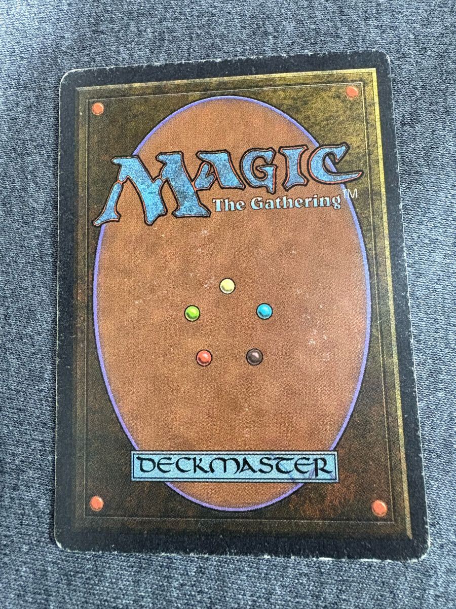 真贋鑑定 Tundra 3ED 英語 MTG リバイズド_6