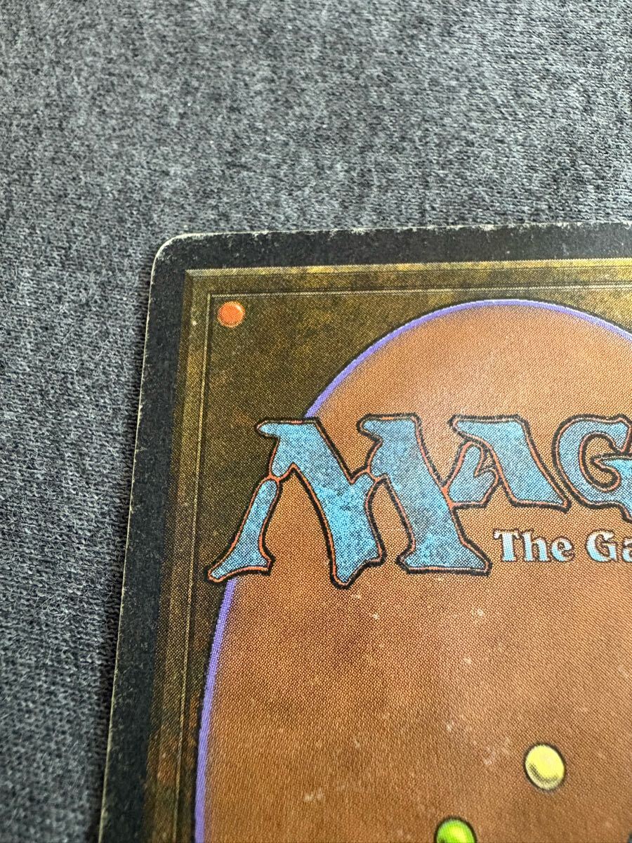 真贋鑑定 Tundra 3ED 英語 MTG リバイズド_7