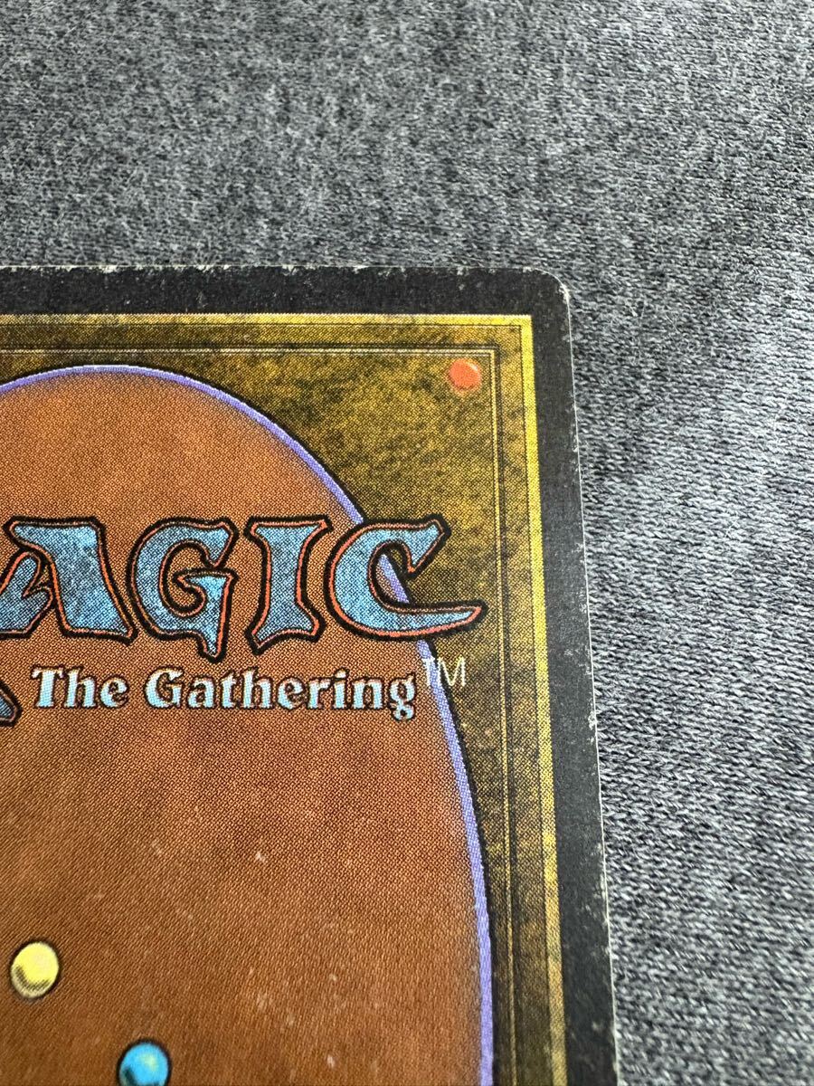 真贋鑑定 Tundra 3ED 英語 MTG リバイズド_8