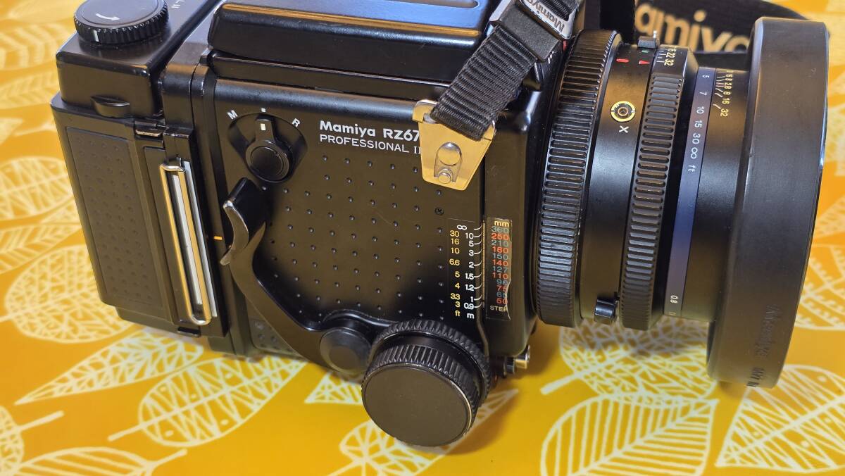 マミヤ RZ67 PROII + SEKOR Z 110mm F2.8_2