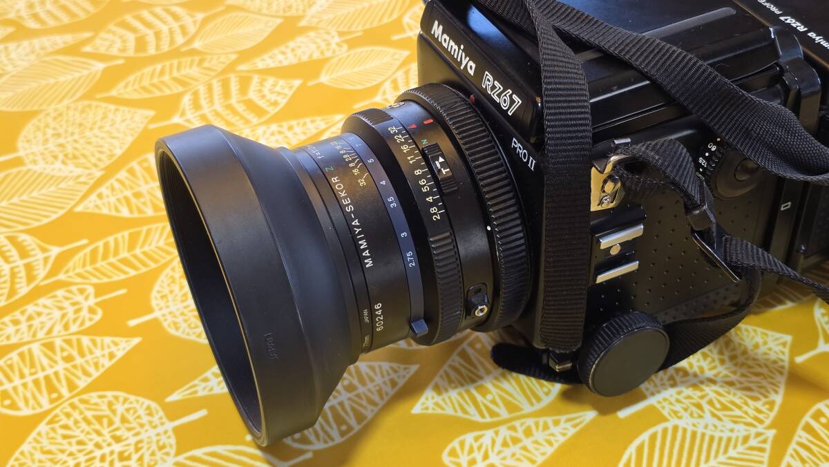 マミヤ RZ67 PROII + SEKOR Z 110mm F2.8_3