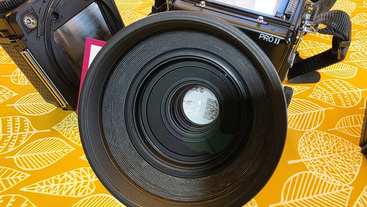 マミヤ RZ67 PROII + SEKOR Z 110mm F2.8_6