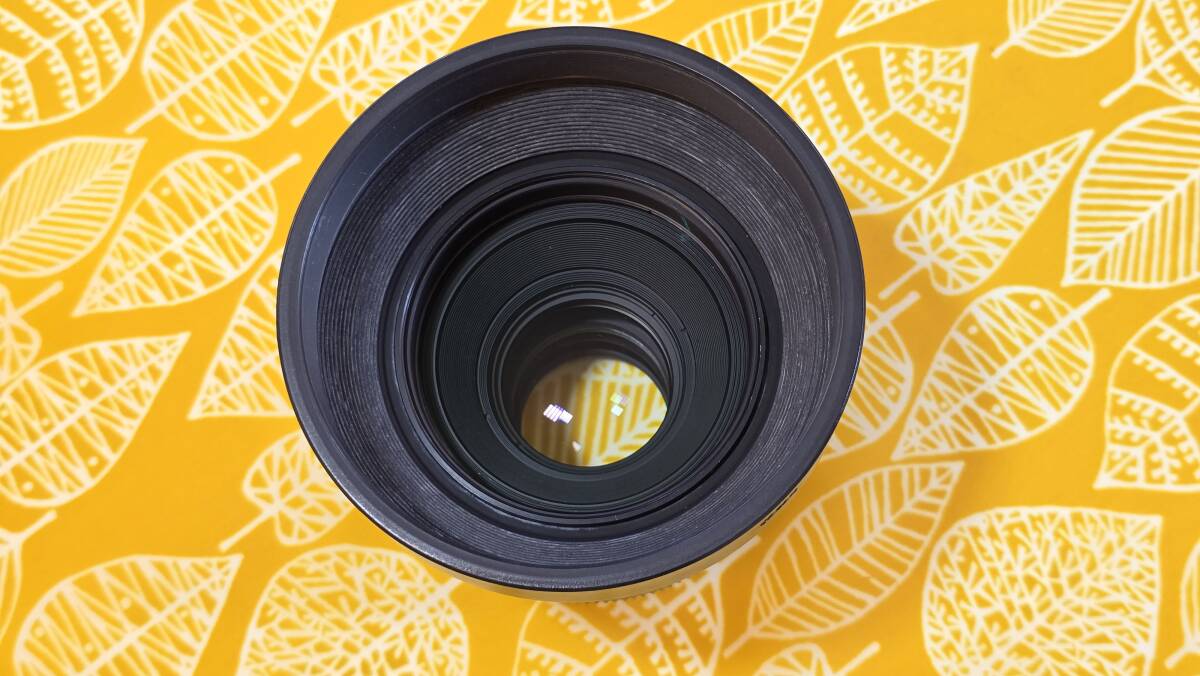 マミヤ RZ67 PROII + SEKOR Z 110mm F2.8_7