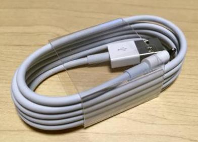 新品 Apple iPhone 純正 lightning ケーブル 充電器 10本セット
