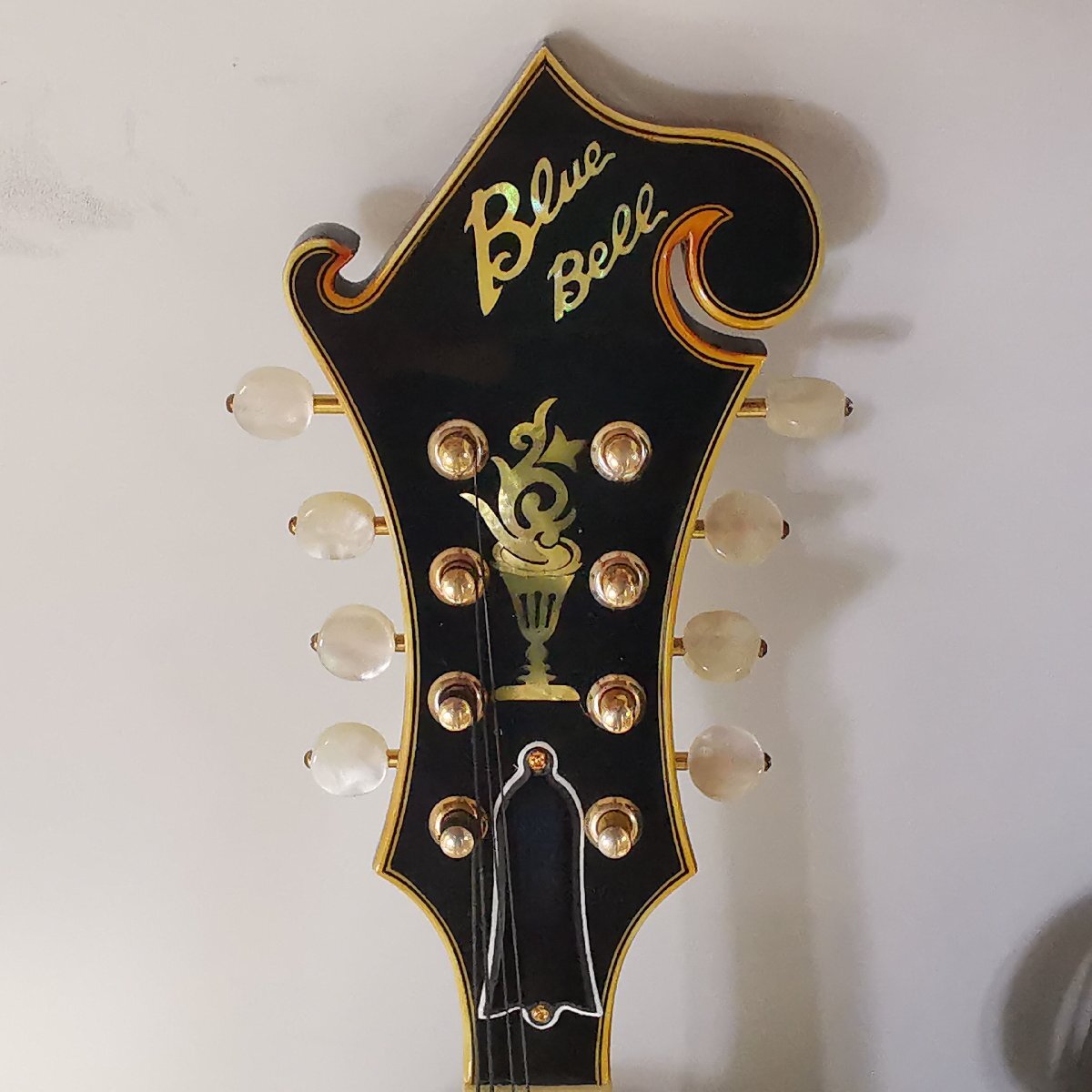 BlueBell ブルーベル マンドリン F-8 F8 富士弦楽器 フジゲン ハード